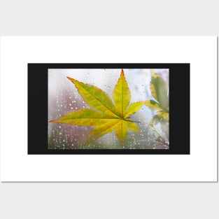 Maple Leaf in Autumn Day Posters and Art